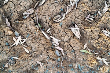 texture of mud, dry ground and leaves