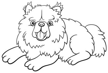 cartoon purebred chow chow dog coloring book page