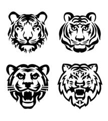 Tiger head, vector Illustration