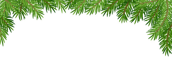 Fototapeta na wymiar Christmas green coniferous fir tree pine realistic dark and light background with white space with different branches. Place for website header, headline, congratulatory words. Vector illustration