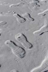 footprints in the sand