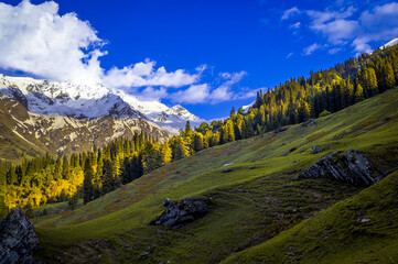 Landscape in the summer. The alpine meadow in the mountains. This is the scenic view of Himalayas...