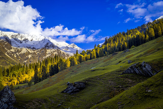 Landscape in the summer. The alpine meadow in the mountains. This is the scenic view of Himalayas peaks and alpine landscape from the trail of Sar Pass trek Himalayan region of Kasol, Himachal Pradesh