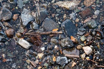 Shells, stones and water on the sand