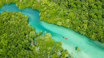 A bird's-eye view of a woman kayaking alone in a mangrove forest.