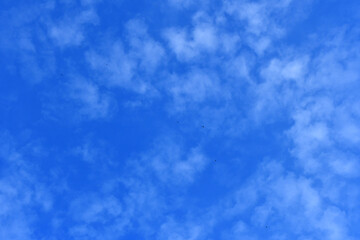 Fototapeta na wymiar 푸른 하늘 구름 