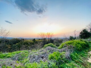 Fototapeta premium sunset in the field