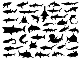 Various Sharks Silhouettes Vector Illustration - obrazy, fototapety, plakaty