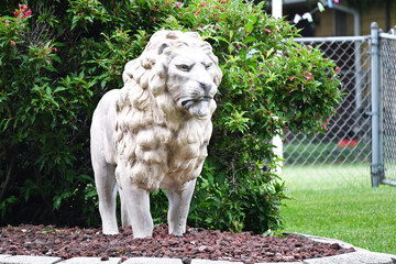 Lion Statue