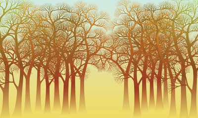 tree background illustration misty landscape deep
