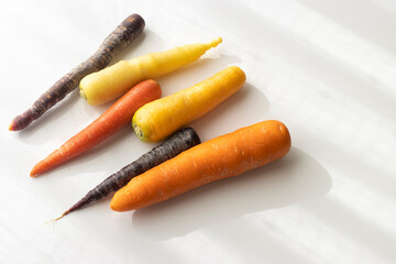 カラフルな人参の写真