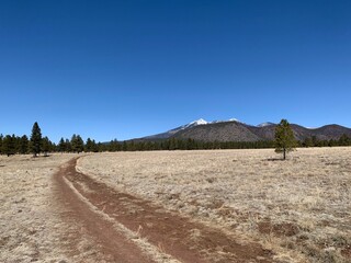 Humphrey's Peak from Flagstaff, Arizona