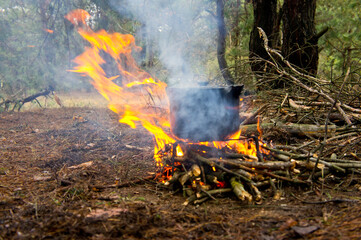 A cooking pot hanging over an open fire in a pine forest. - Powered by Adobe