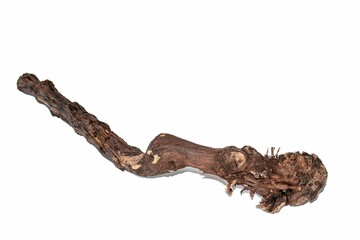Dried vine branches, brown-black bark laid on a white background.