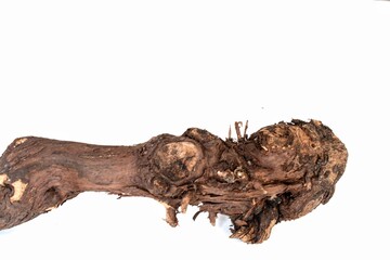 Dried vine branches, black bark laid on a white background.