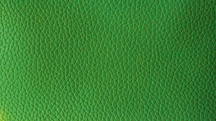 green leather texture close-up abstract background