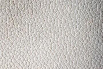 gray leather texture close-up abstract background