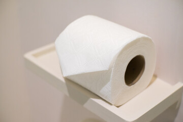 Rolls of white tissue paper in the bathroom.
