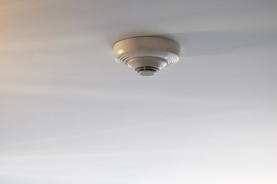 Smoke detectors are mounted on a white ceiling.