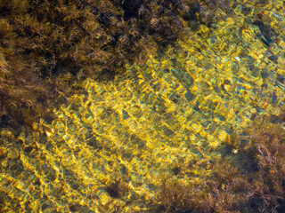 Stones and green moss by the sea