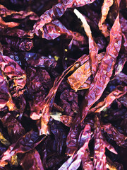 Chili used for cooking