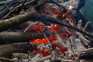 A burning bonfire in the forest. Bonfire in the forest.