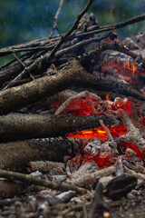 A burning bonfire in the forest. Bonfire in the forest.