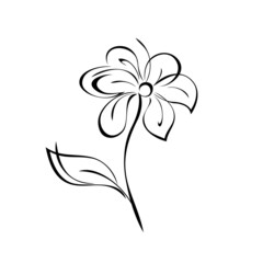 Obraz premium ornament 2149. blossoming flower with large petals on a single-leafed stem. graphic decor