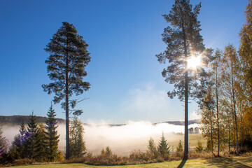 Autumn morning landscape with colorful trees, fog above agricultural field in the valley and blue sky