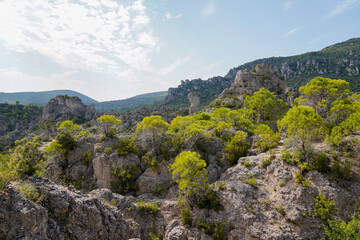 Rocks high stone columns in the erosion park carved naturally mountain circus of Moureze in south France