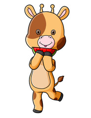 The cute giraffe is eating and holding a slice of watermelon