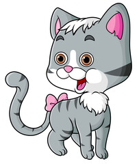 The little cat is standing and very playful