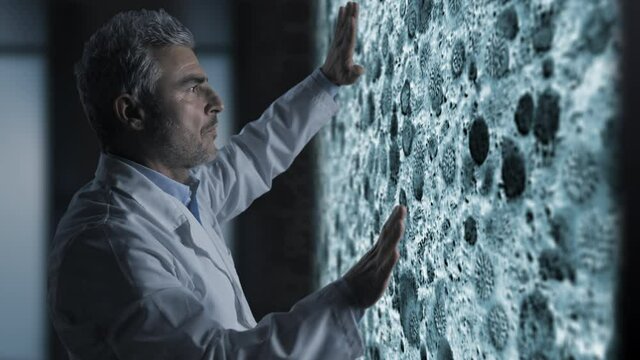 doctor biologist looking at coronavirus covid 19 virus spreading into human cells on wide touch screen monitor in laboratory