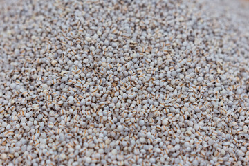 White beans in the supermarket