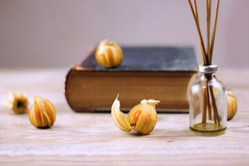 old book dried physalis flower and berry on a table