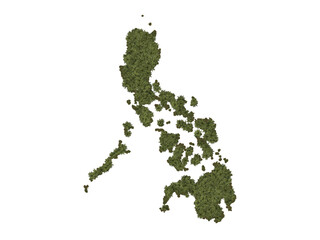 Tropical Coconut trees forming the map of the Philippines. Top view. Environmental, production, and...