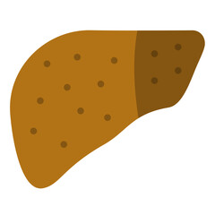 cirrhosis flat icon