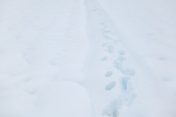 Winter snowfield, piles of footprints