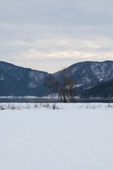 Fototapeta na wymiar Landscape of snow-covered plains in Shiga Prefecture, Japan in mid-winter.