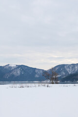 Landscape of snow-covered plains in Shiga Prefecture, Japan in mid-winter.