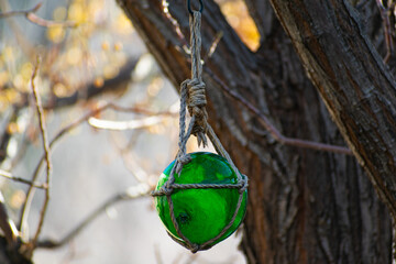 glass ball hanging by rope in a tree