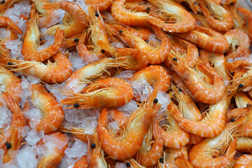 Close up big prawns on ice at the market stall.