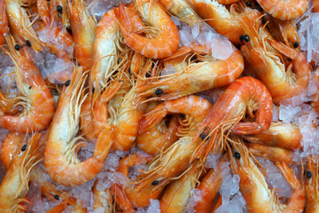 Close up big prawns on ice at the market stall.
