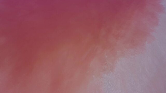 Pink salty lake Manych. Saline with pink plankton. Aerial wide shot from top to bottom on a summer sunny day. Dagestan, Russia