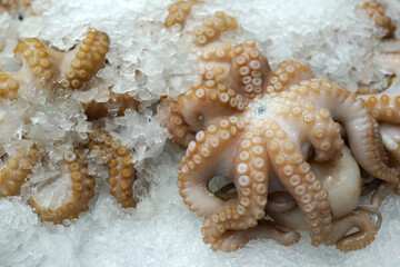 Fresh octopus on ice in the fish market.