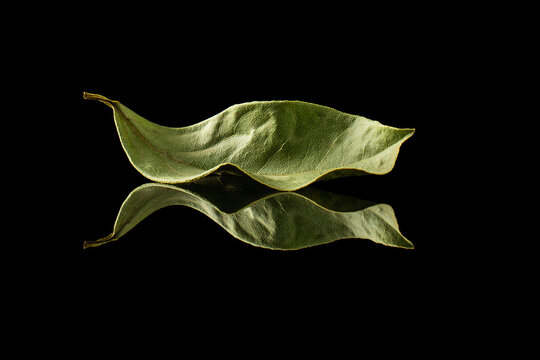 dried bay leaf on a black background