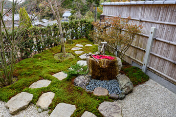 日本庭園、花が添えられた手水鉢や苔のある風景