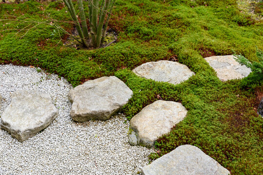 日本庭園 Images Browse 49 707 Stock Photos Vectors And Video Adobe Stock