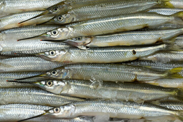 Fresh sea Garfish on ice in market stall © ltyuan