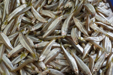 Small fresh raw whitebait fish on market stall